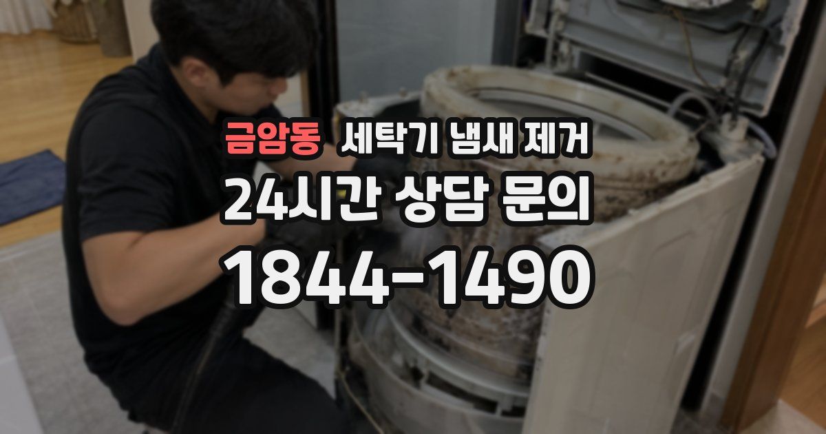 금암동 세탁기 냄새 제거