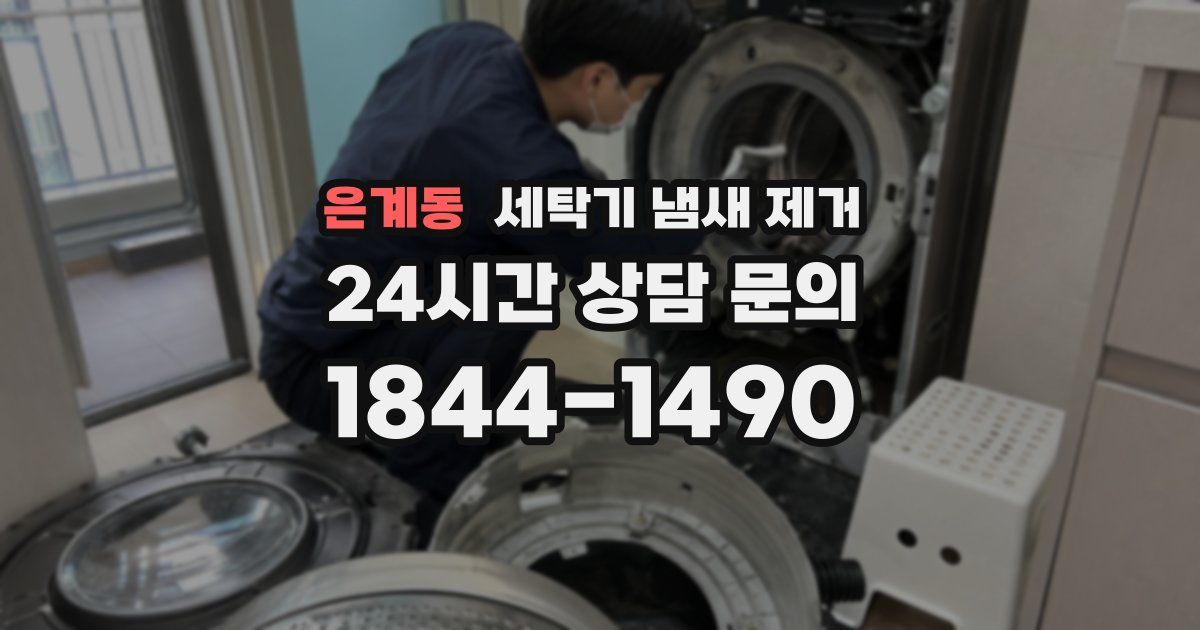 은계동 세탁기 냄새 제거