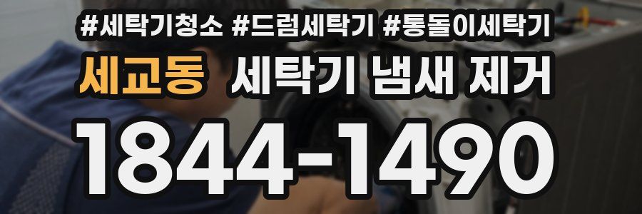 세교동 세탁기 냄새 제거
