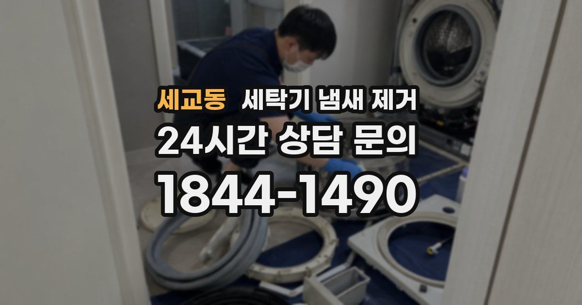 세교동 세탁기 냄새 제거
