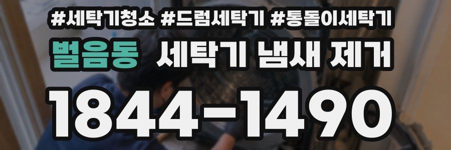 벌음동 세탁기 냄새 제거