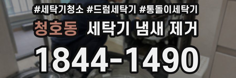 청호동 세탁기 냄새 제거
