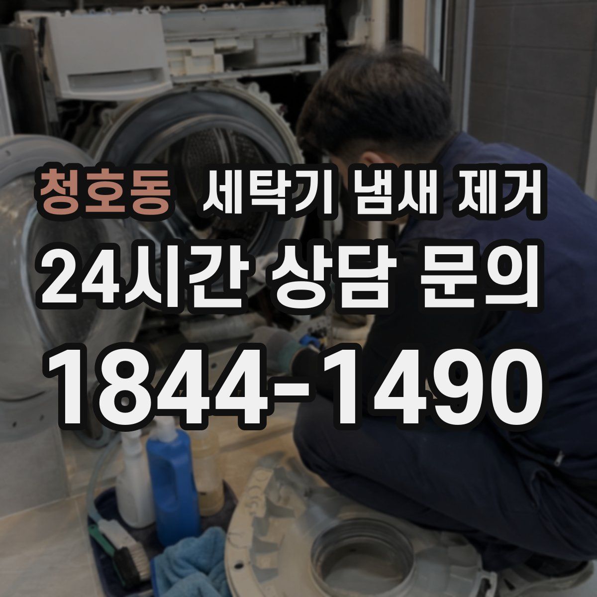 청호동 세탁기 냄새 제거