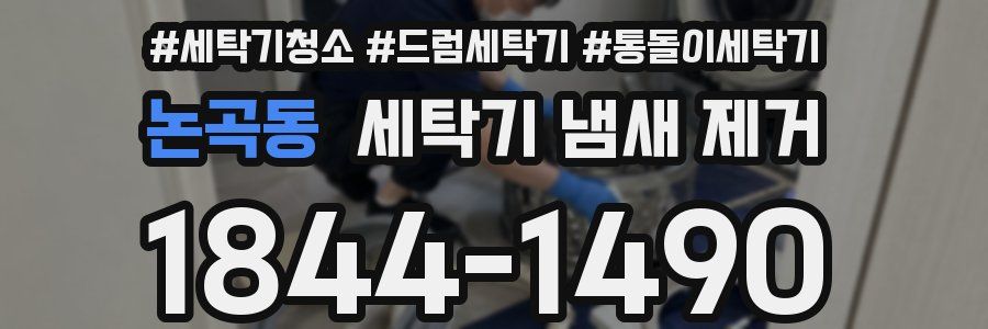 논곡동 세탁기 냄새 제거