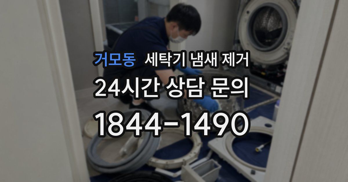 거모동 세탁기 냄새 제거