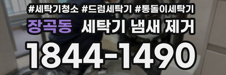 장곡동 세탁기 냄새 제거