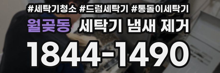 월곶동 세탁기 냄새 제거