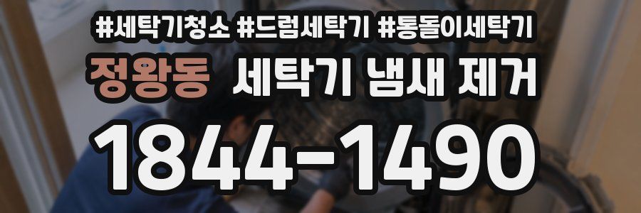 정왕동 세탁기 냄새 제거