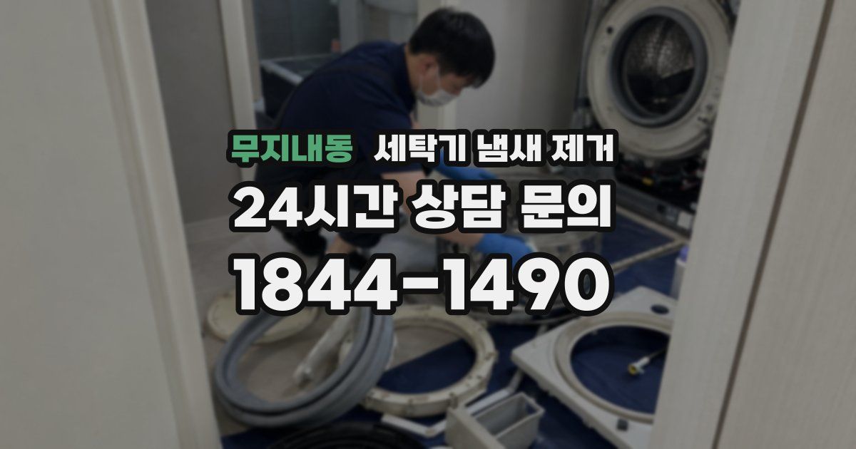 무지내동 세탁기 냄새 제거