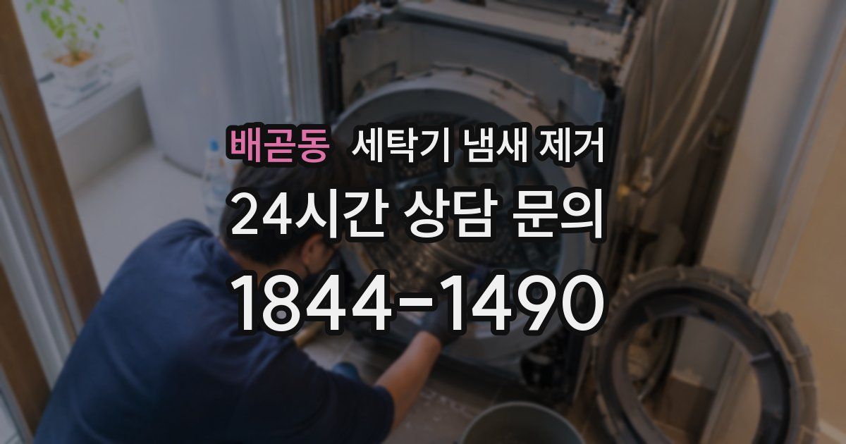 배곧동 세탁기 냄새 제거