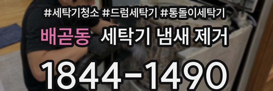 배곧동 세탁기 냄새 제거