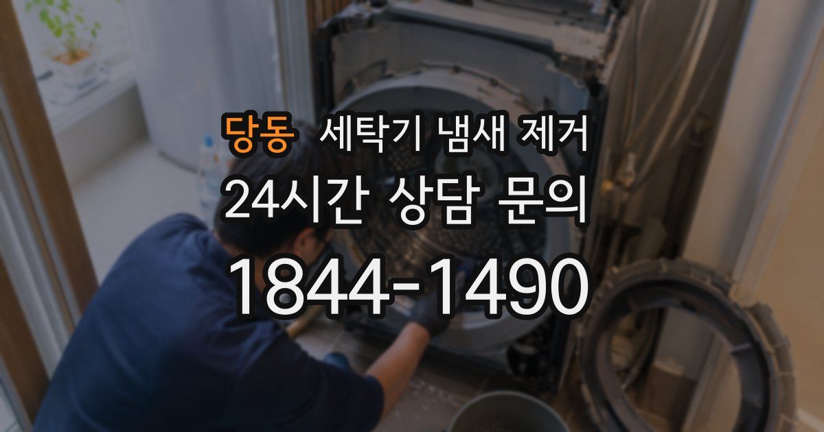 당동 세탁기 냄새 제거