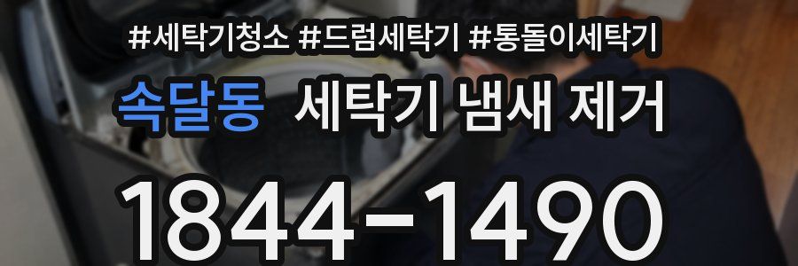 속달동 세탁기 냄새 제거