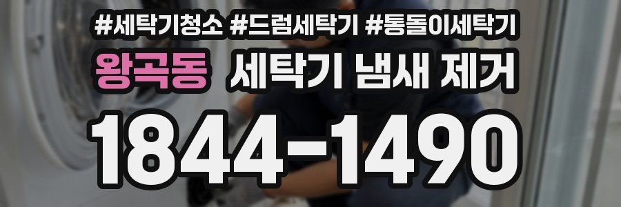 왕곡동 세탁기 냄새 제거
