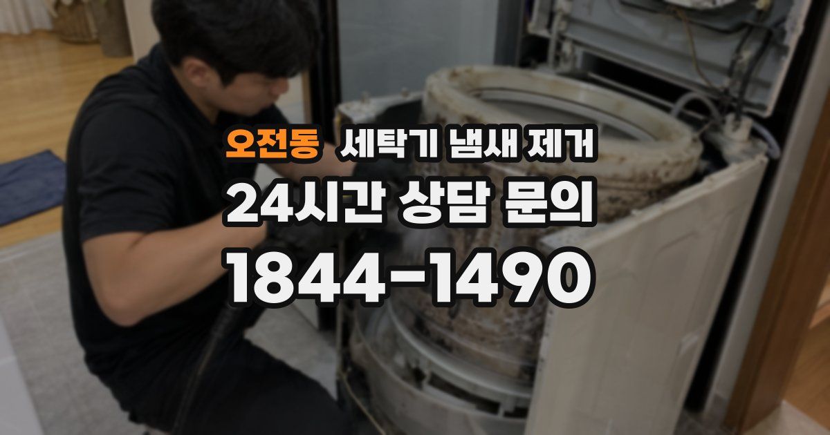 오전동 세탁기 냄새 제거