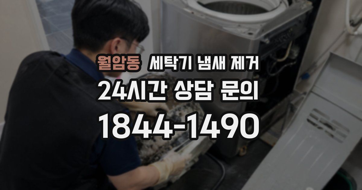 월암동 세탁기 냄새 제거