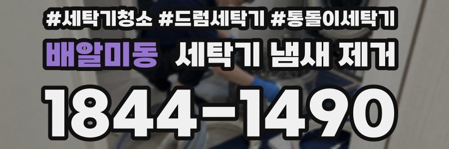 배알미동 세탁기 냄새 제거