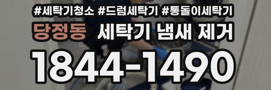 당정동 세탁기 냄새 제거