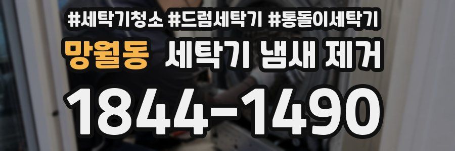 망월동 세탁기 냄새 제거