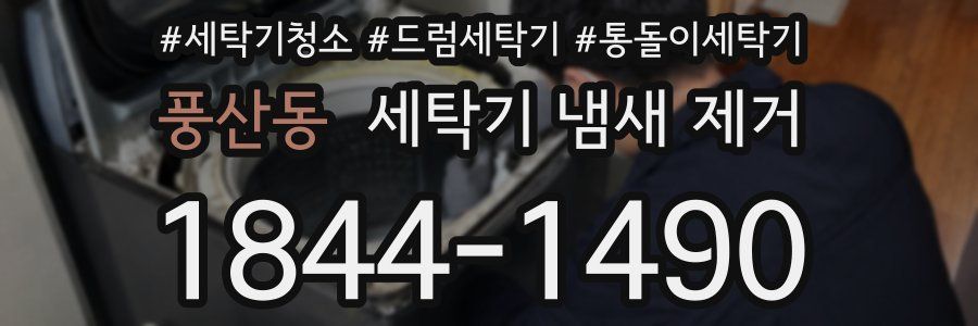 풍산동 세탁기 냄새 제거