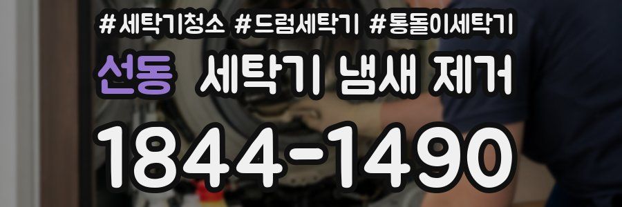 선동 세탁기 냄새 제거