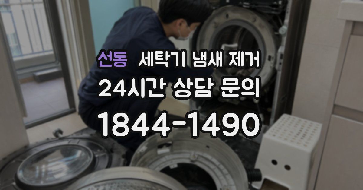 선동 세탁기 냄새 제거