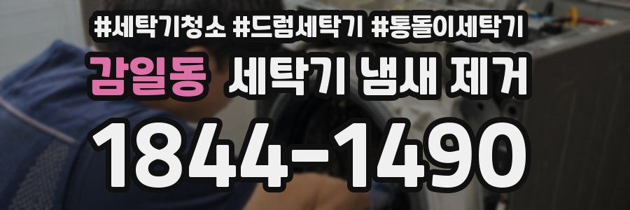감일동 세탁기 냄새 제거