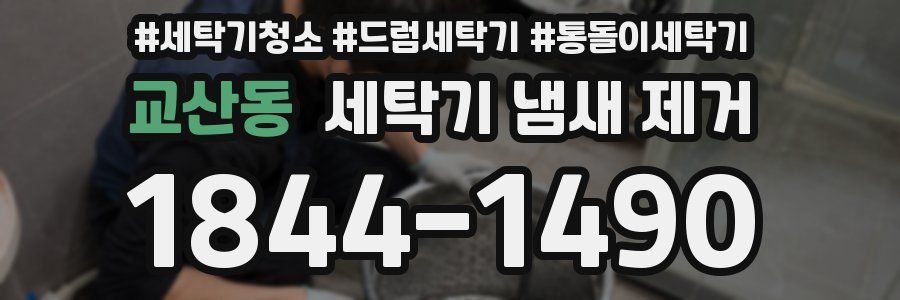 교산동 세탁기 냄새 제거