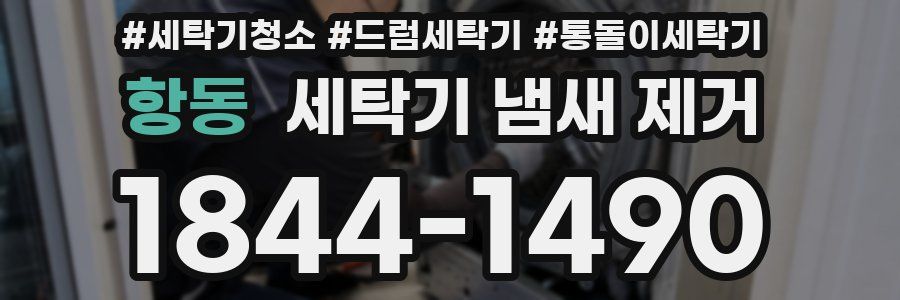 항동 세탁기 냄새 제거