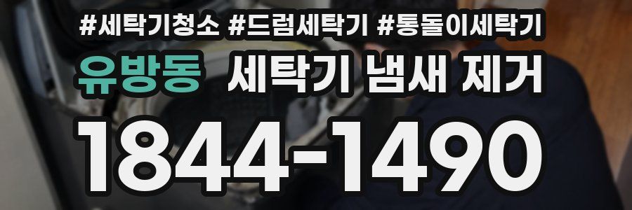 유방동 세탁기 냄새 제거