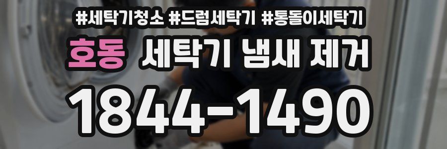 호동 세탁기 냄새 제거