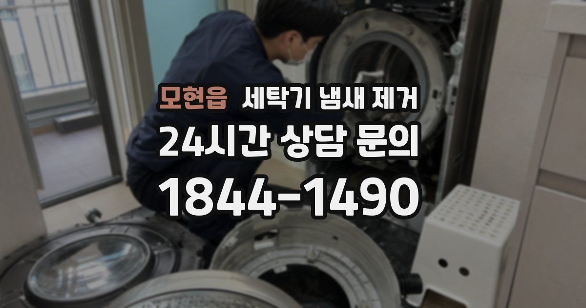 모현읍 세탁기 냄새 제거