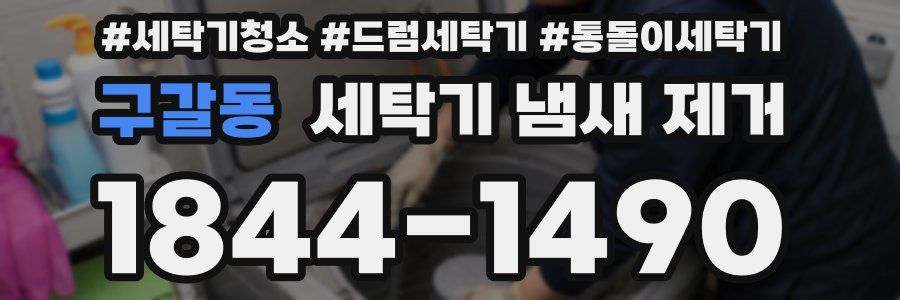 구갈동 세탁기 냄새 제거