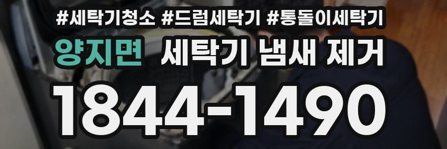 양지면 세탁기 냄새 제거