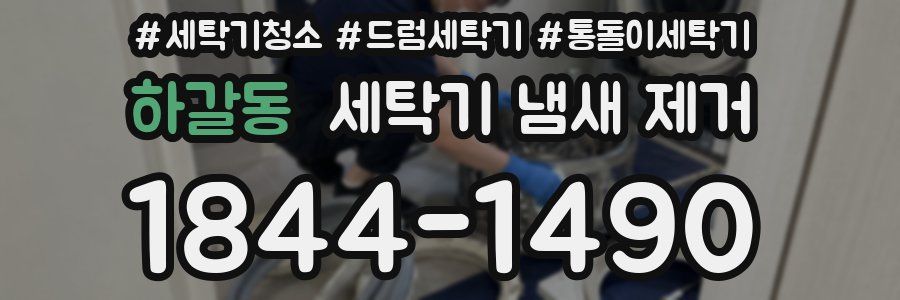 하갈동 세탁기 냄새 제거