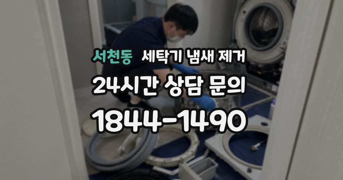 서천동 세탁기 냄새 제거