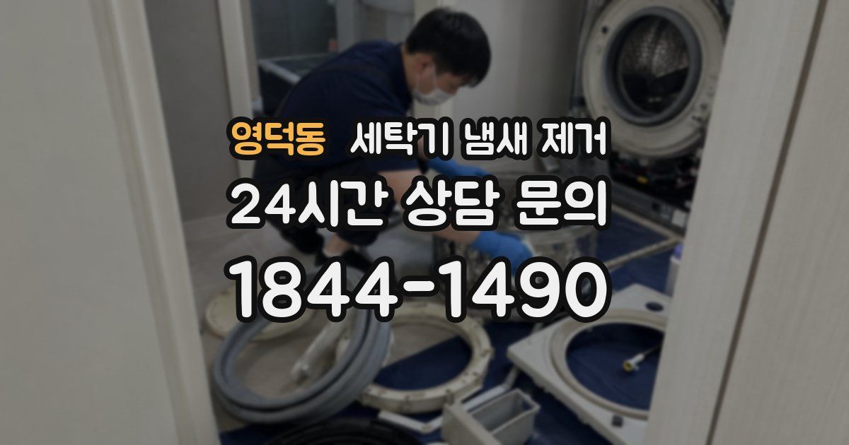 영덕동 세탁기 냄새 제거