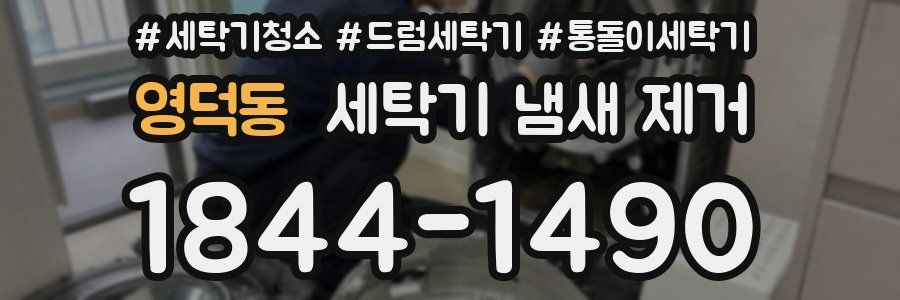 영덕동 세탁기 냄새 제거