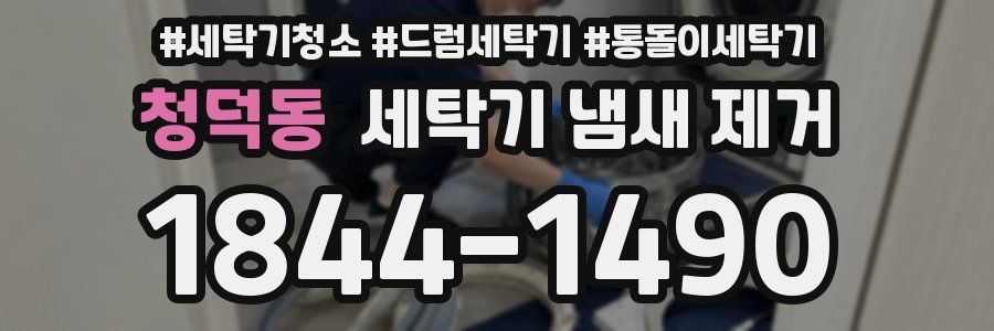 청덕동 세탁기 냄새 제거