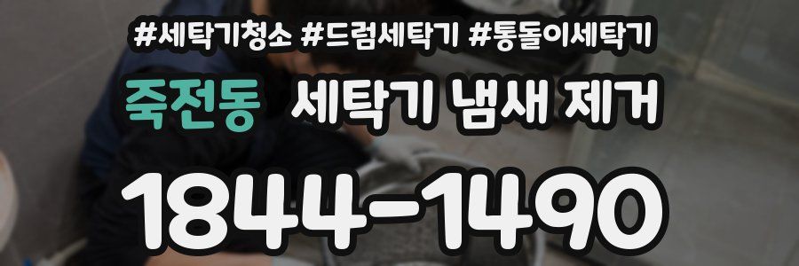 죽전동 세탁기 냄새 제거