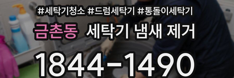 금촌동 세탁기 냄새 제거