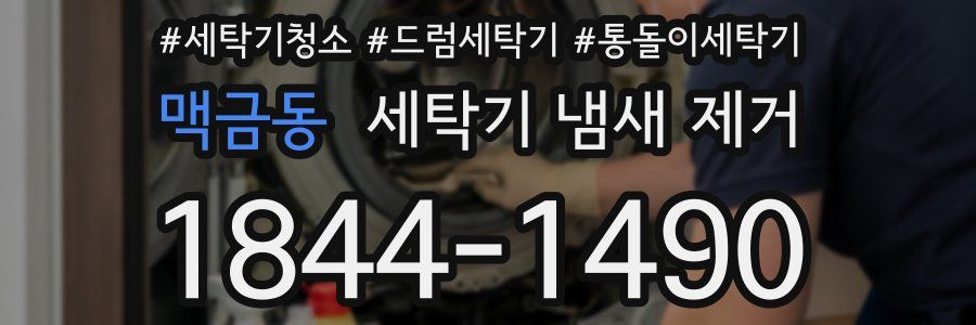 맥금동 세탁기 냄새 제거