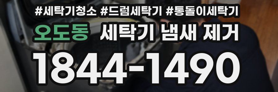 오도동 세탁기 냄새 제거