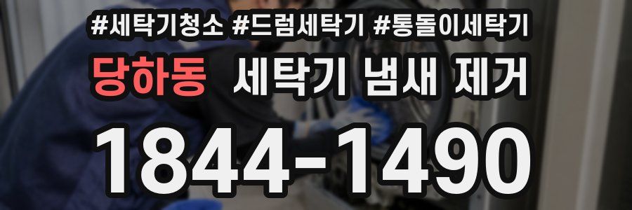 당하동 세탁기 냄새 제거