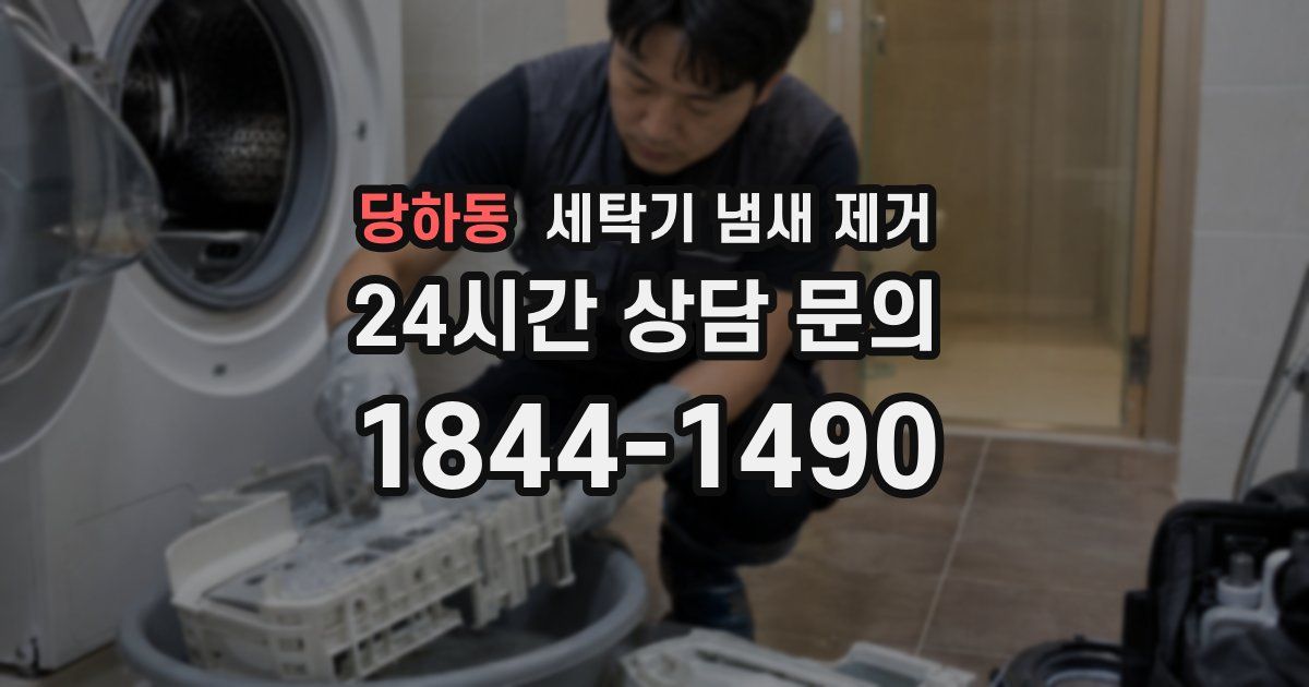 당하동 세탁기 냄새 제거