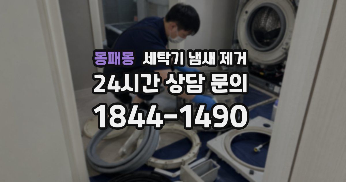 동패동 세탁기 냄새 제거