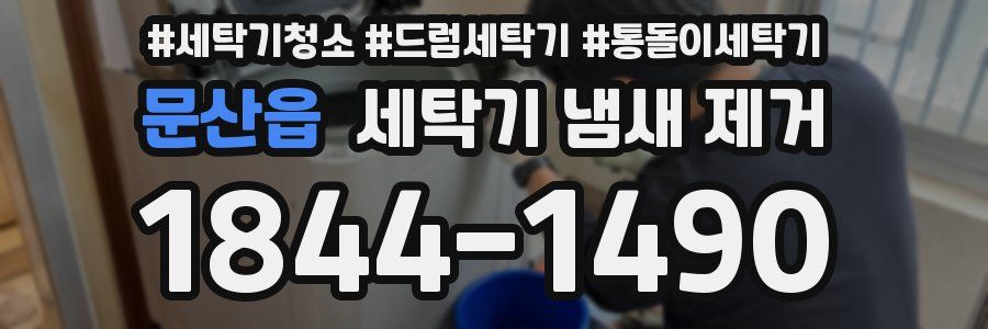 문산읍 세탁기 냄새 제거