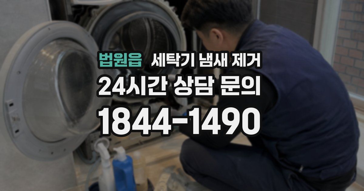 법원읍 세탁기 냄새 제거