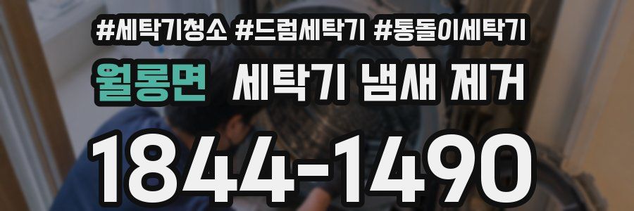 월롱면 세탁기 냄새 제거