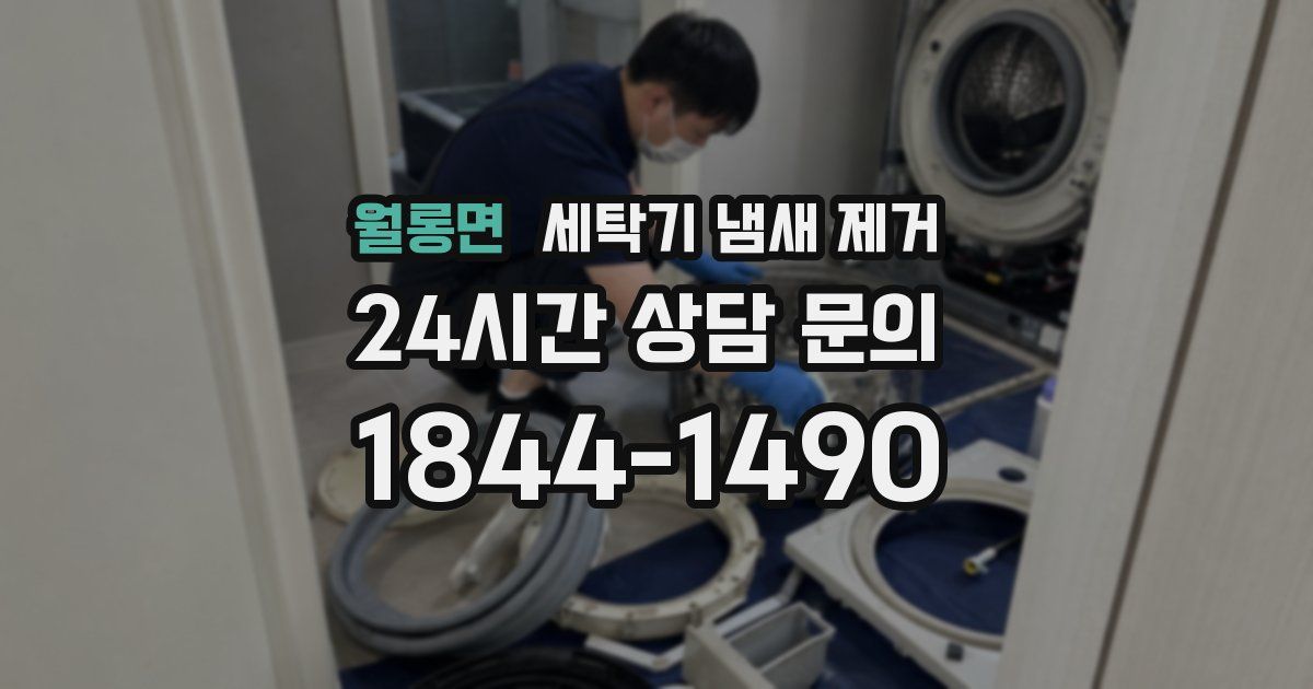 월롱면 세탁기 냄새 제거